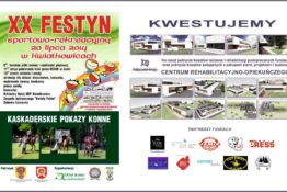 festyn sportowo-rekreacyjny w kawiatkowicach (3)